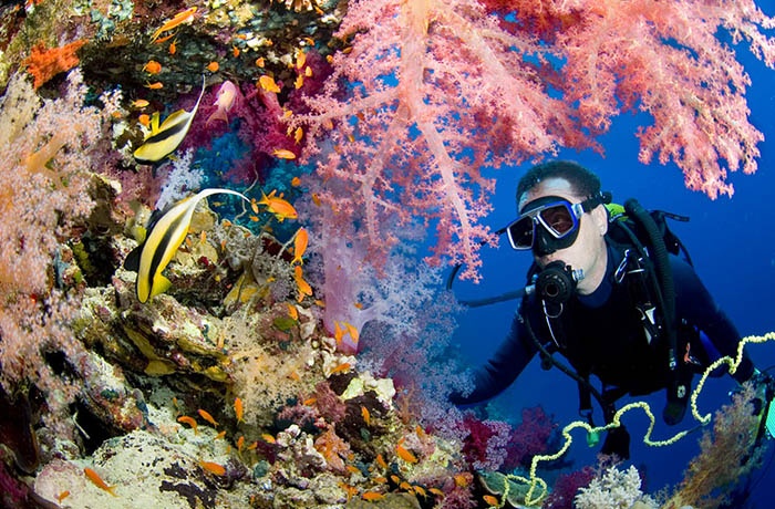 Full-Day Diving Trip in Hurghada - 2