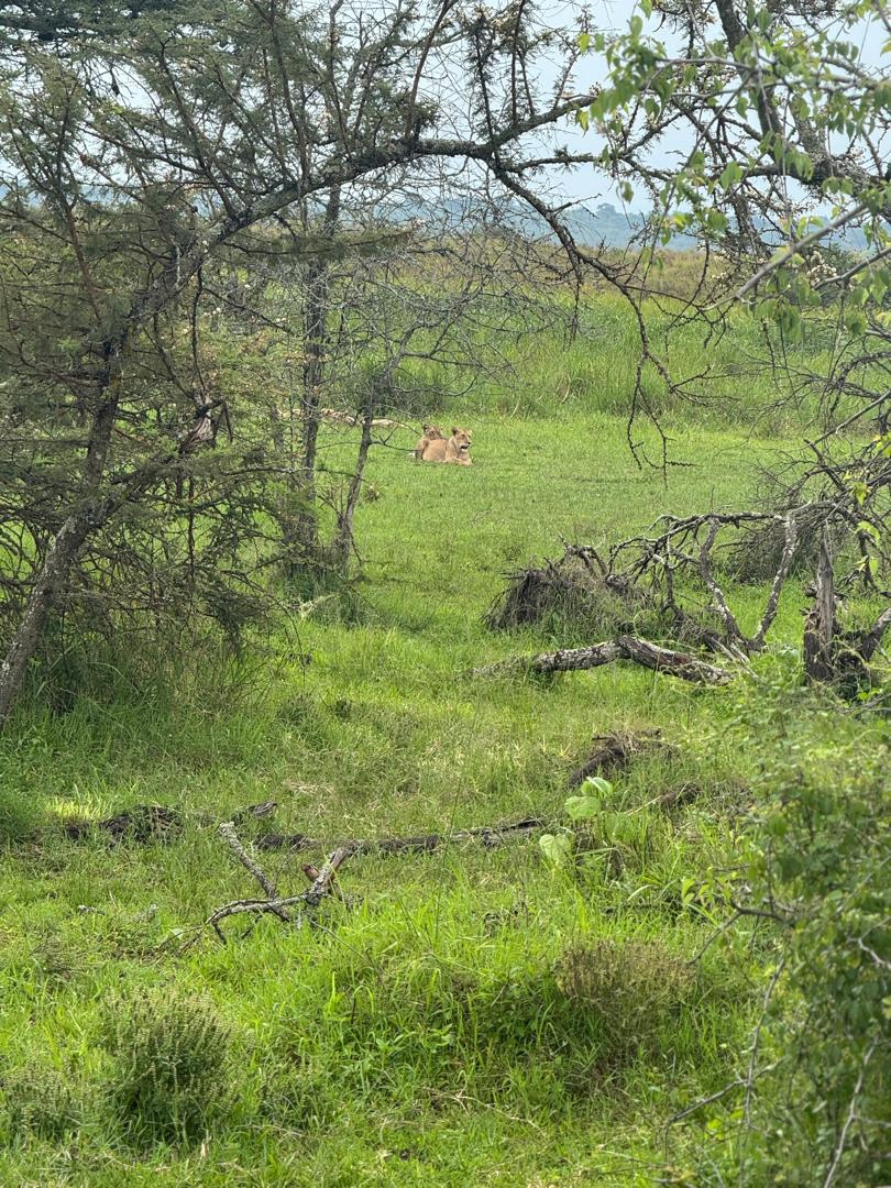 3 days akagera safari – photo 5