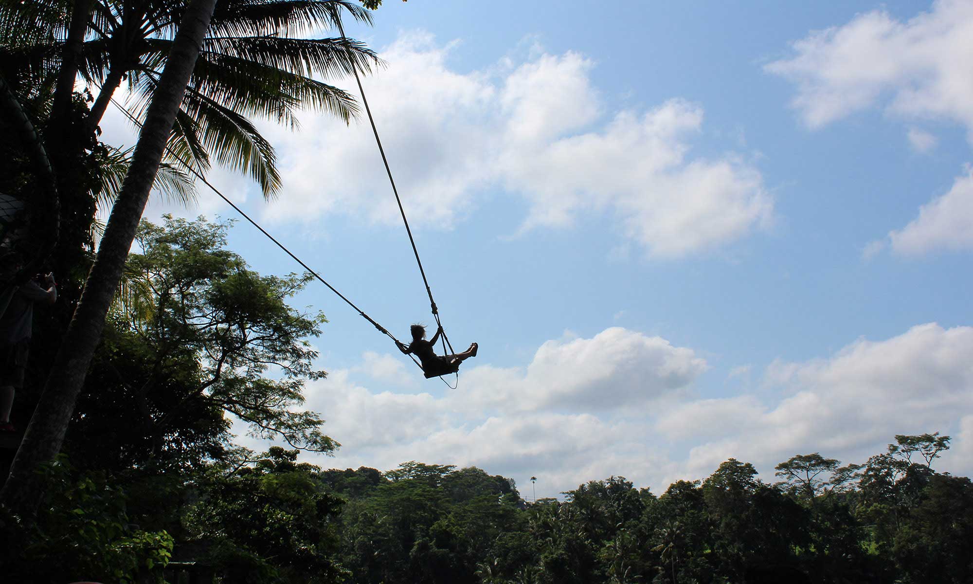 Best of Ubud : Monkey forest - Swing - Rice Terrace - Temple 