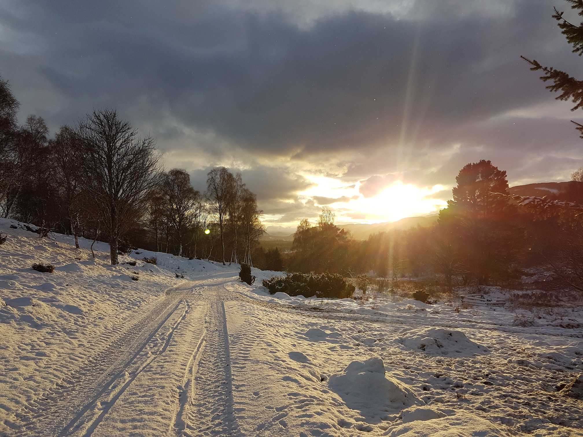 8 Days / 7 nights - New Year Cairngorms Winter Walking Adventure - Photo 4