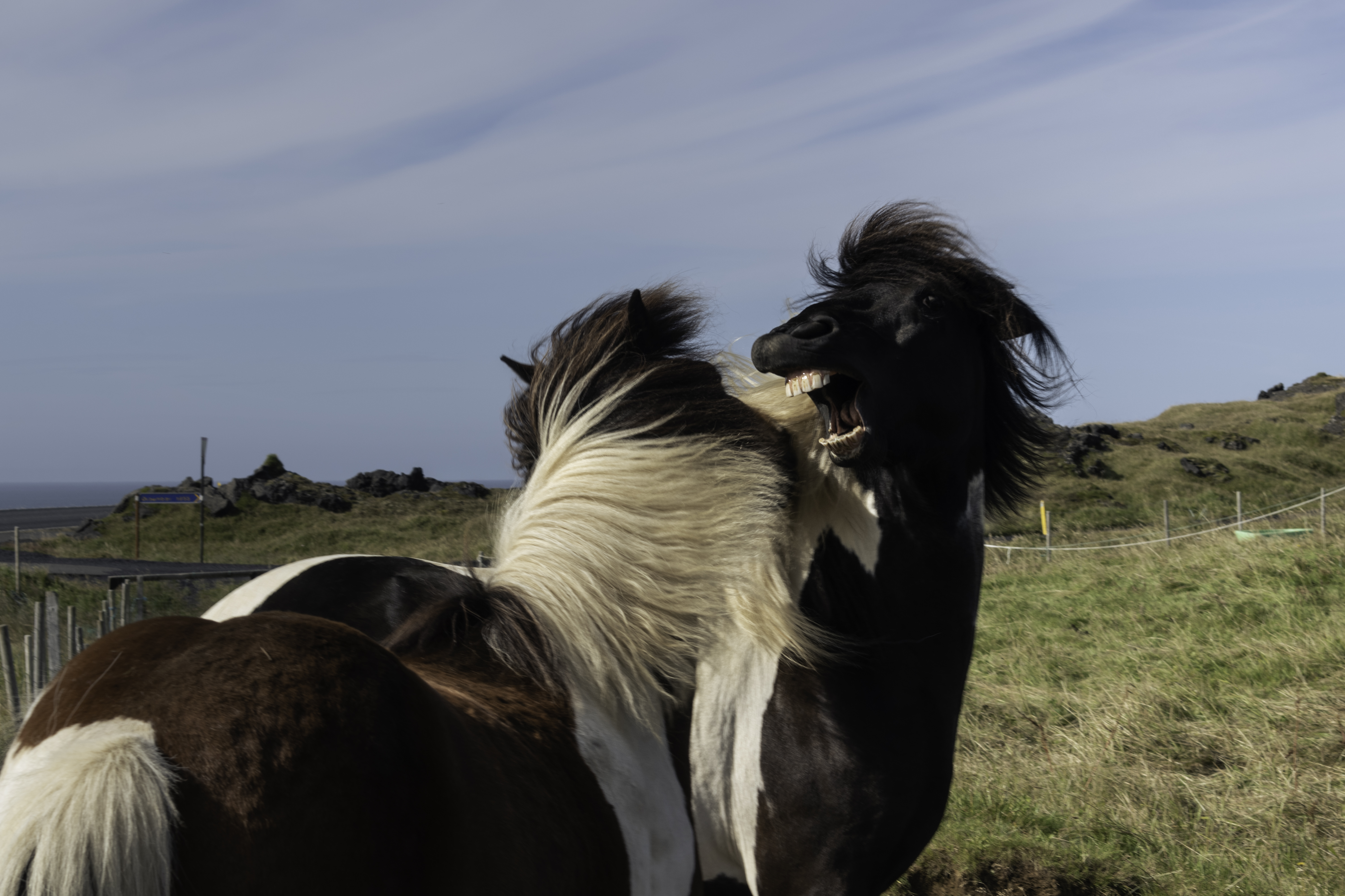 Private SuperJeep tour to the Westman Islands: History and Natural Wonders - photo 5