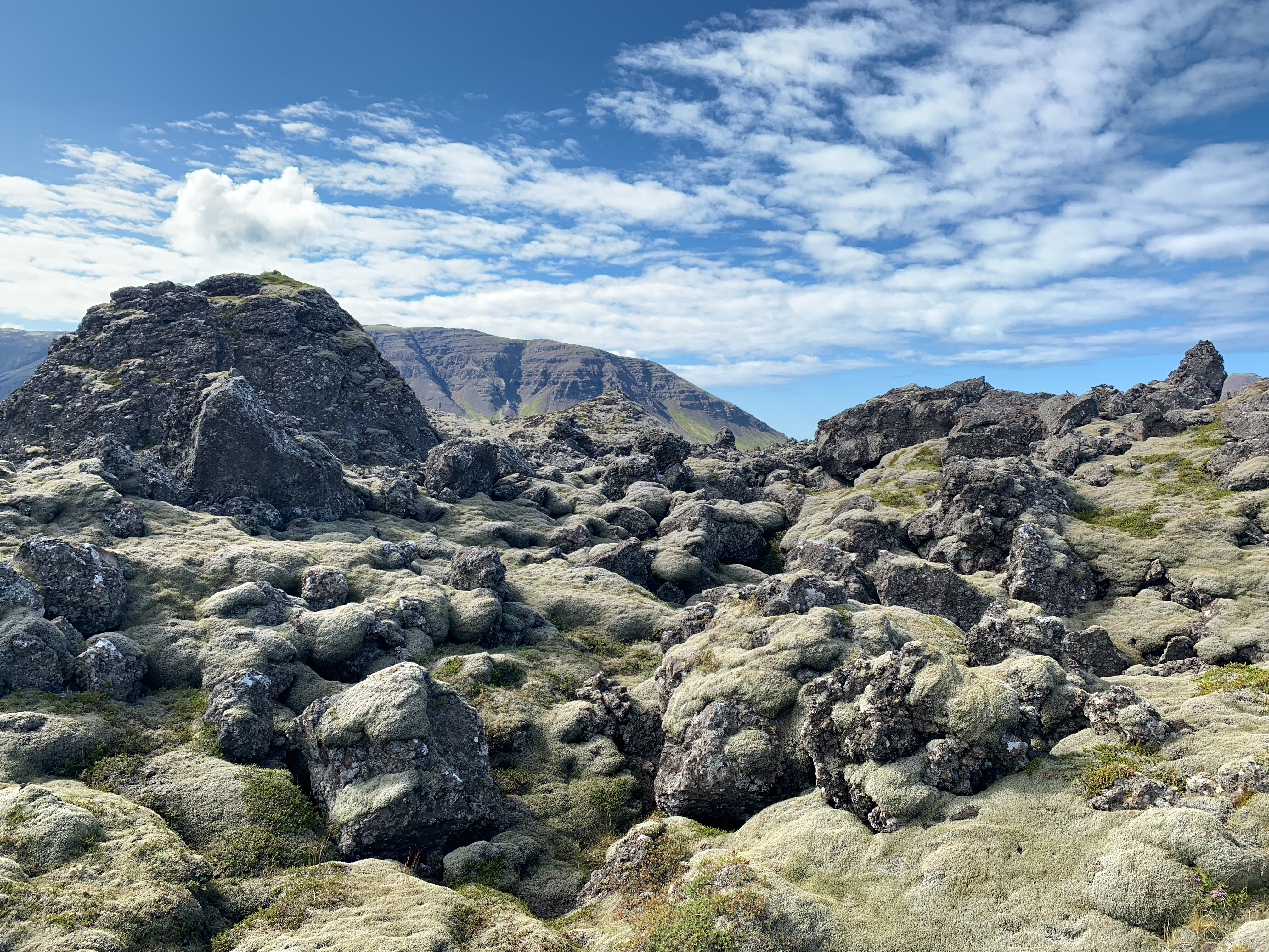 Private Super Jeep with driver guide, fits 6 passengers