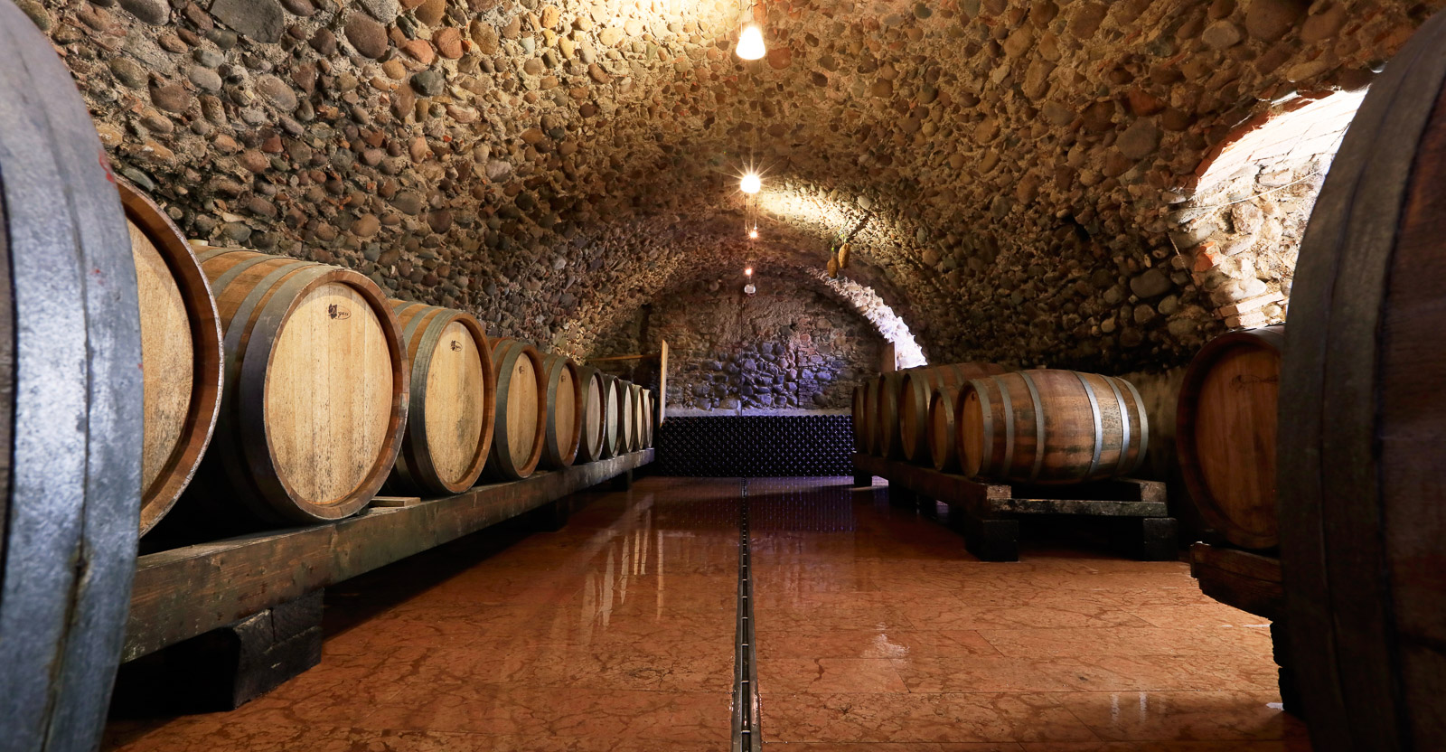 Tour and tasting of 5 Garda wines and olive oil in Valeggio - Photo 7