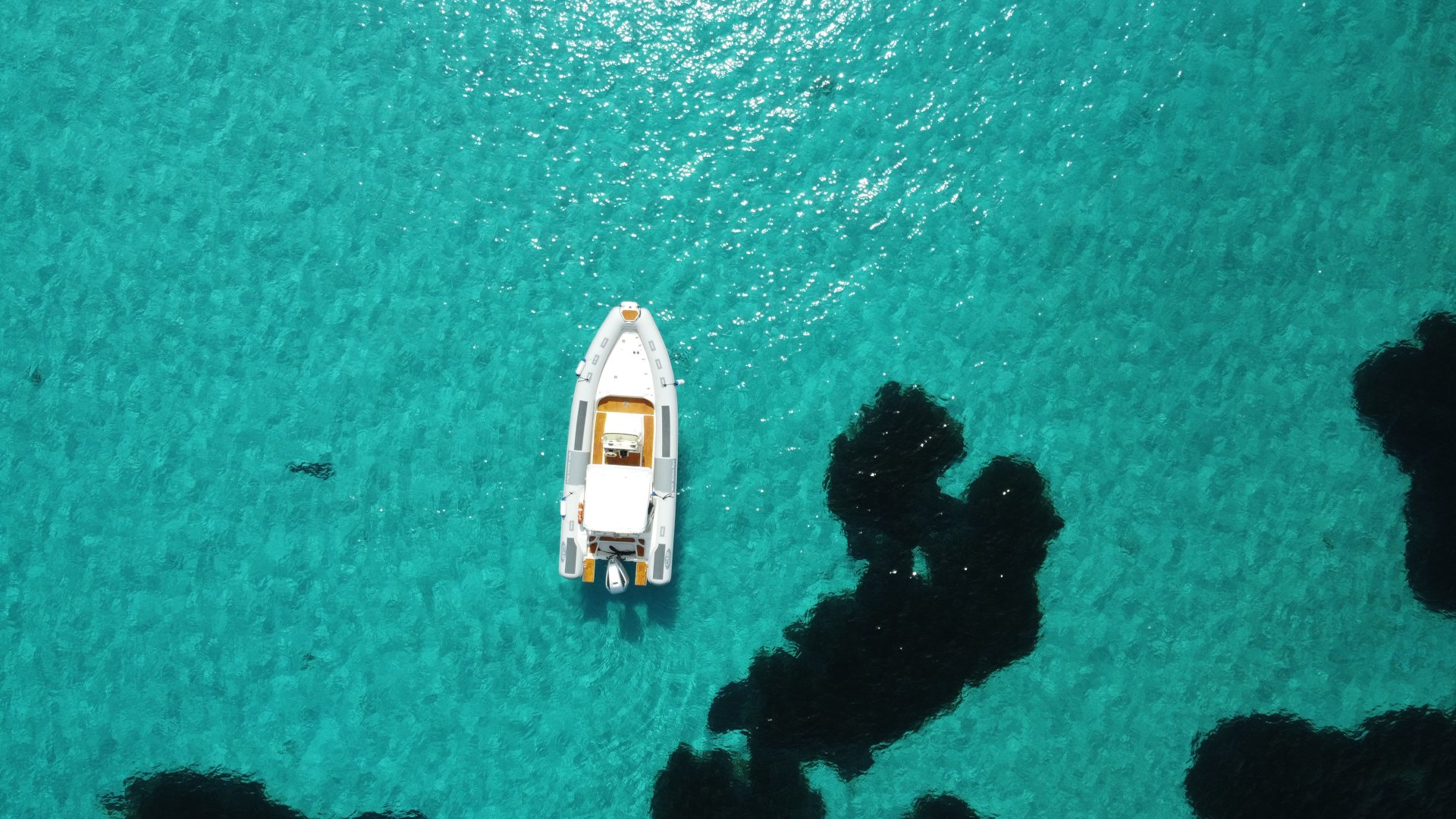 From Stintino: RIB tour in the gulf of Asinara - Photo 9