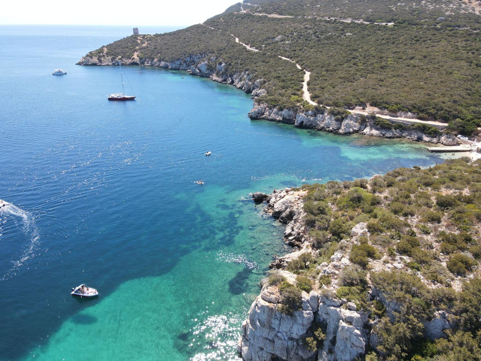 From Fertilia: private boat tour in the Gulf of Alghero - Photo 8