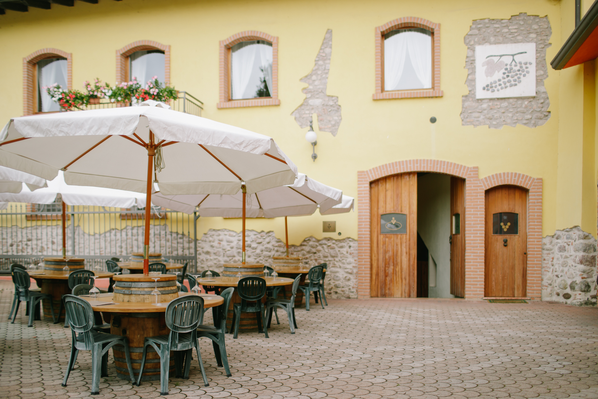 Tour and tasting of local young Wines in Valeggio - Photo 13
