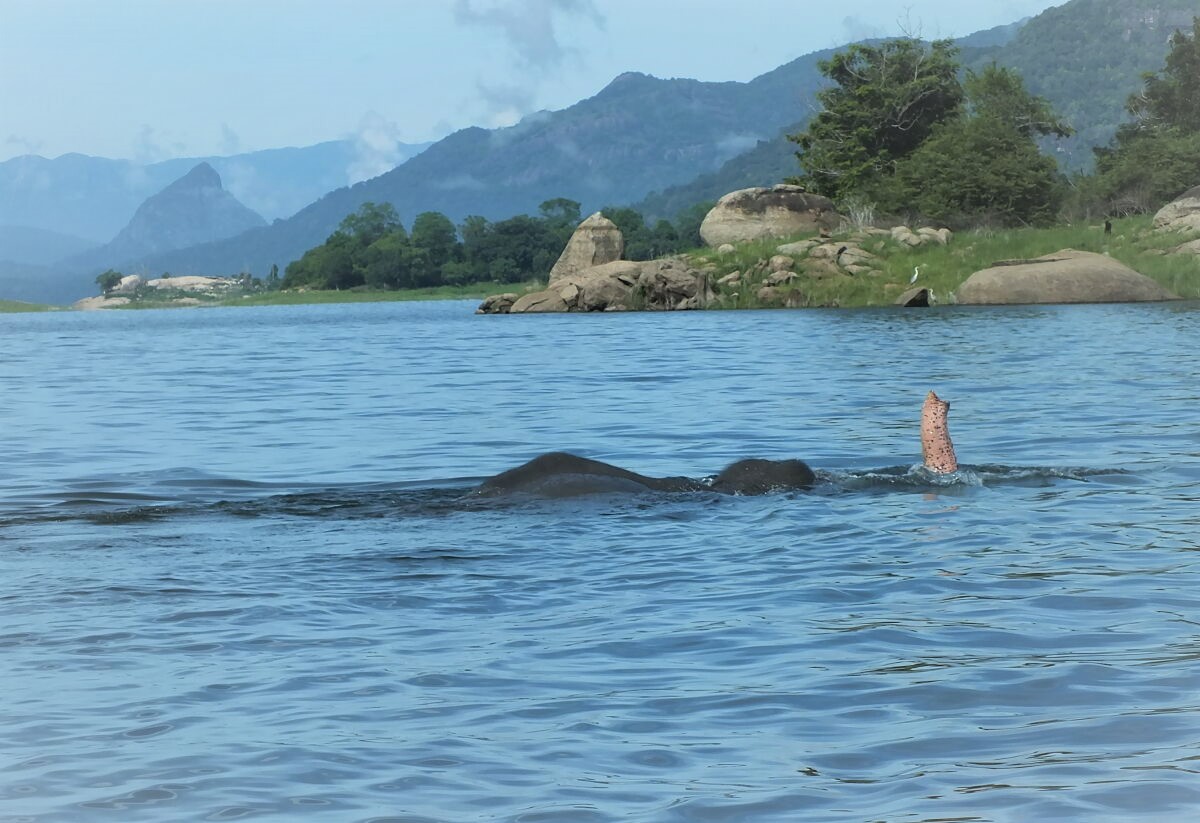 Gal Oya National Park Shared Safari