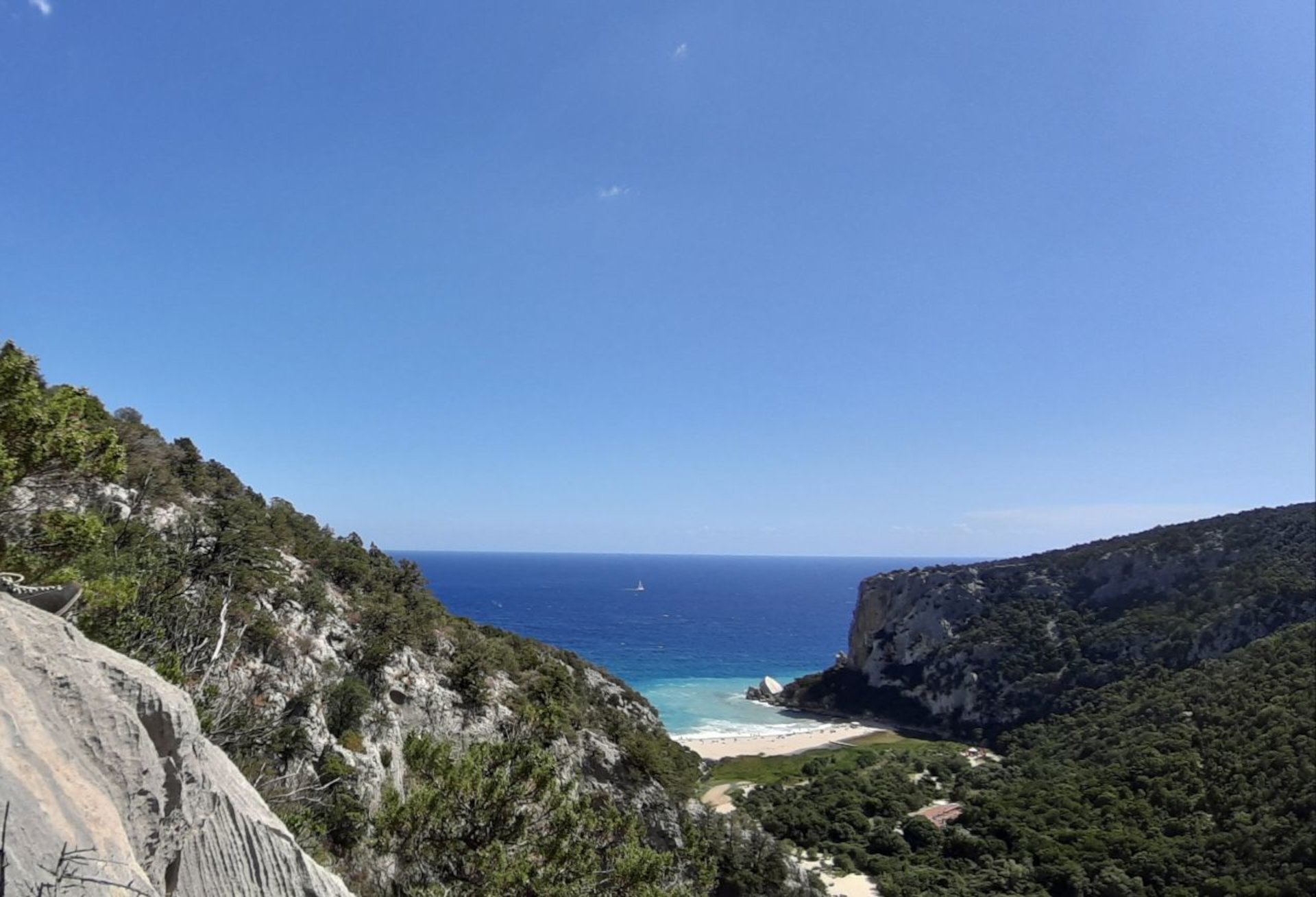 From Dorgali: trekking to Cala Luna - Photo 15
