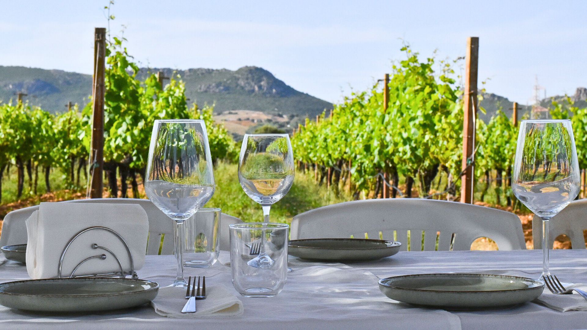 Alghero: aperitif in a vineyard - Photo 4