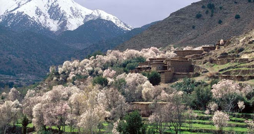 Excursión de día completo a Asni y Tassa Ouirgane