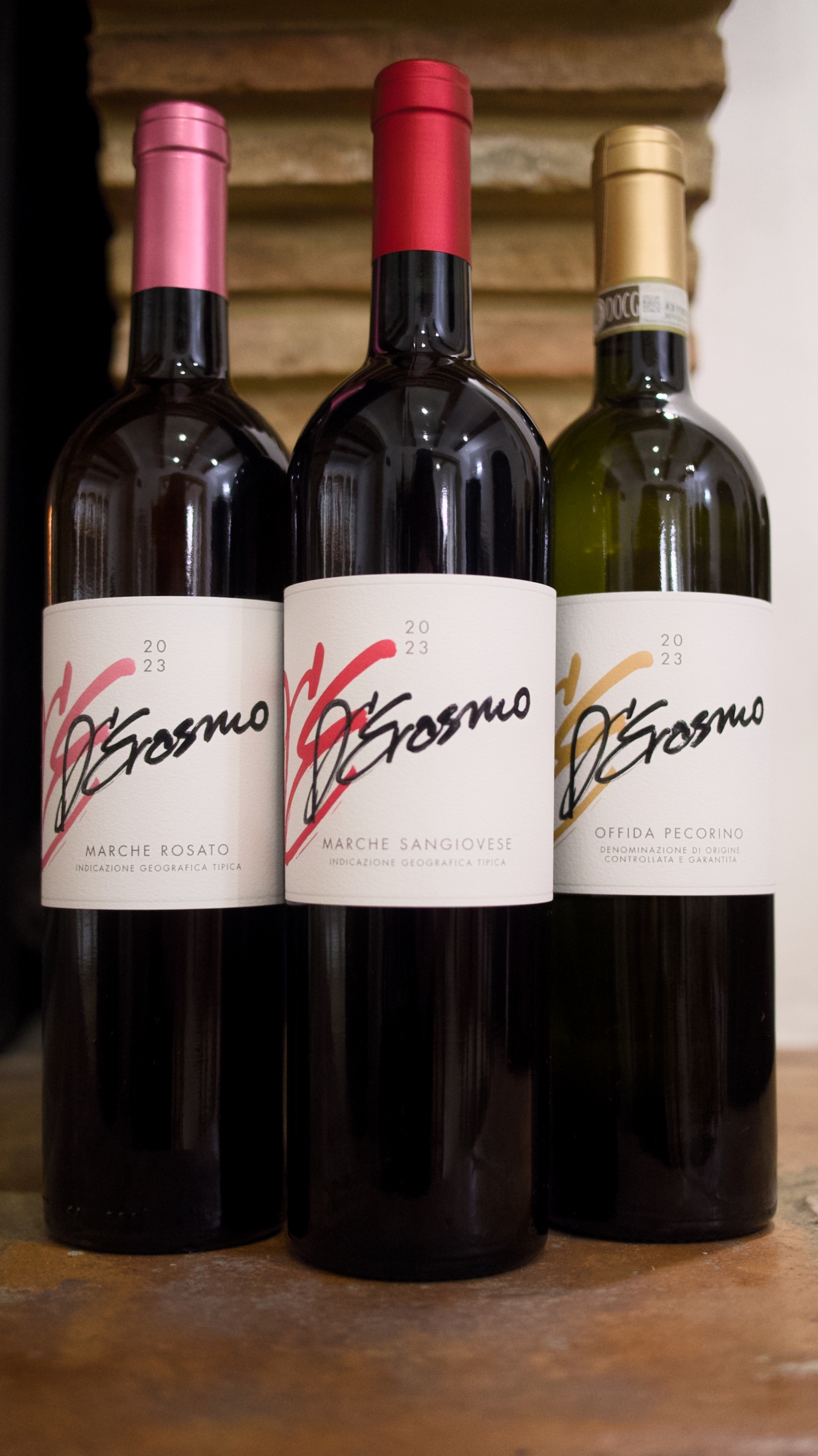 Marche: unique visit and tasting at Cantina D'Erasmo amidst signature wines - Photo 8