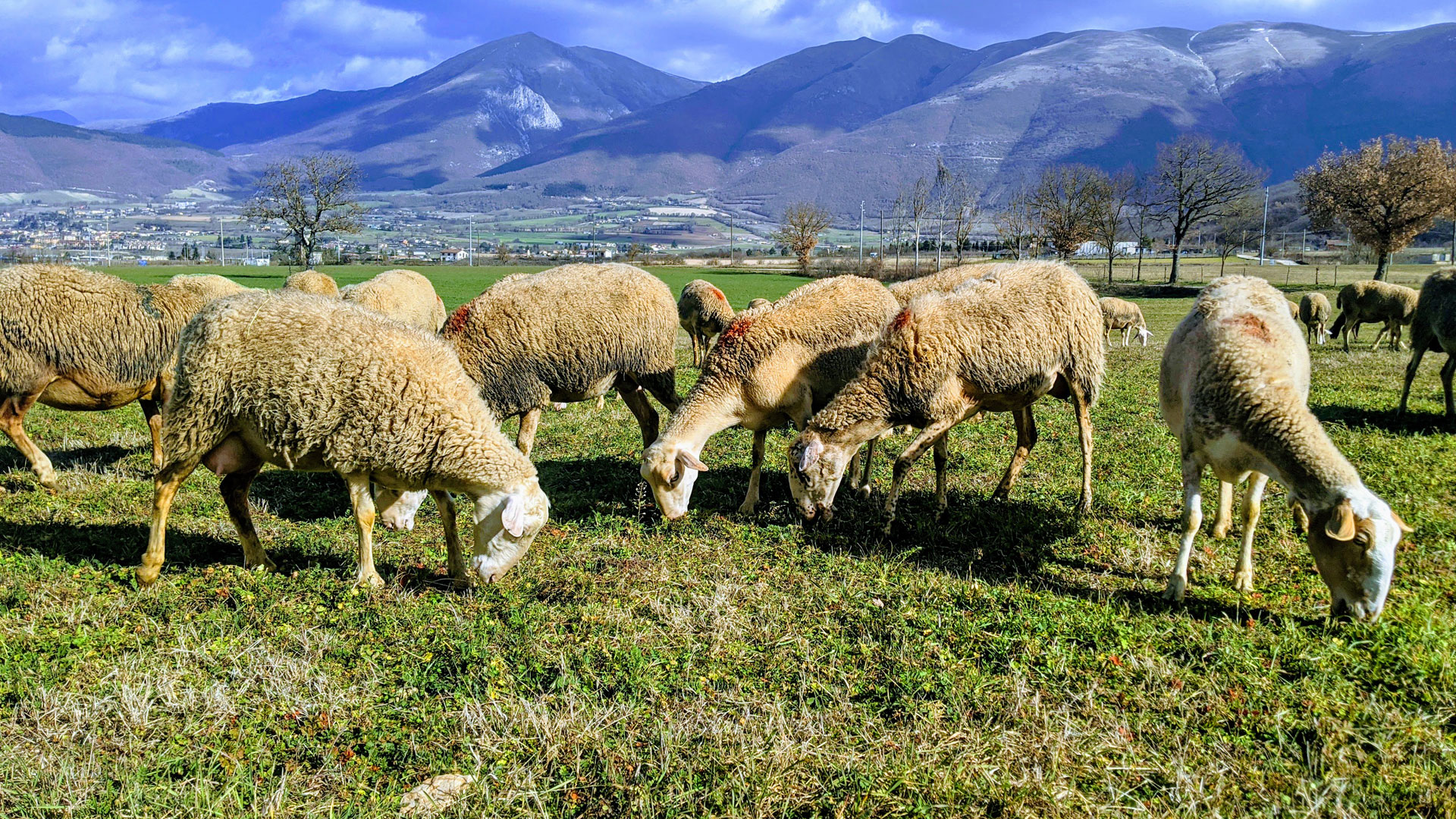 Hiking Santa Scolastica - Photo 3