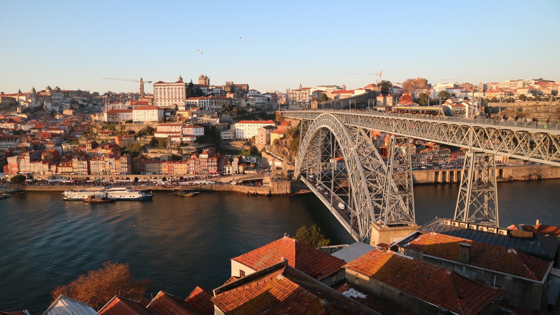 Private Porto Morning Tour: São Bento, Sé and Bridge Viewpoints - Photo 12