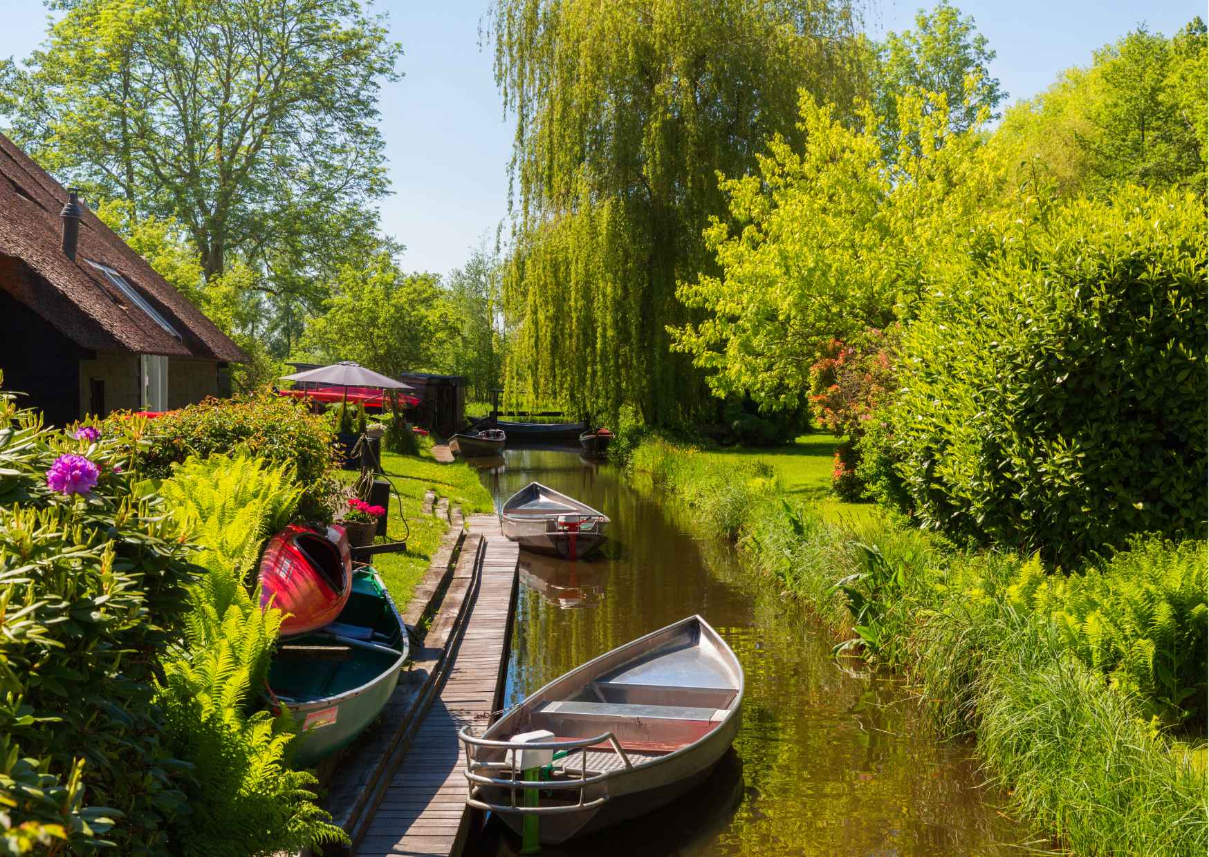 Giethoorn Guided Day Trip from Amsterdam with 1-hour Boat tour  - Photo 4