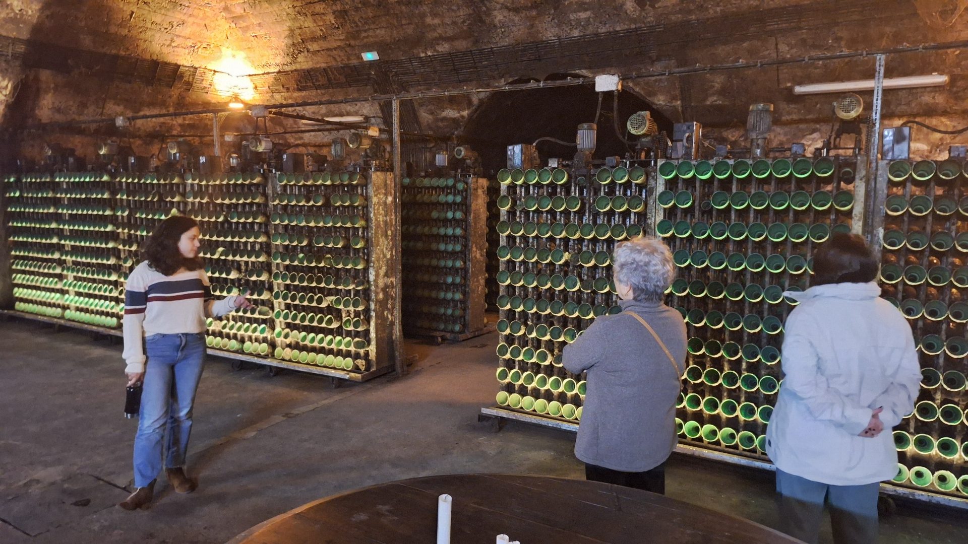 Aveiro & Bairrada Private Day Tour with Salt Pans and Sparkling Wine - Photo 12