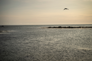 Private SuperJeep Tour: Snæfellsnes wonders - photo 24