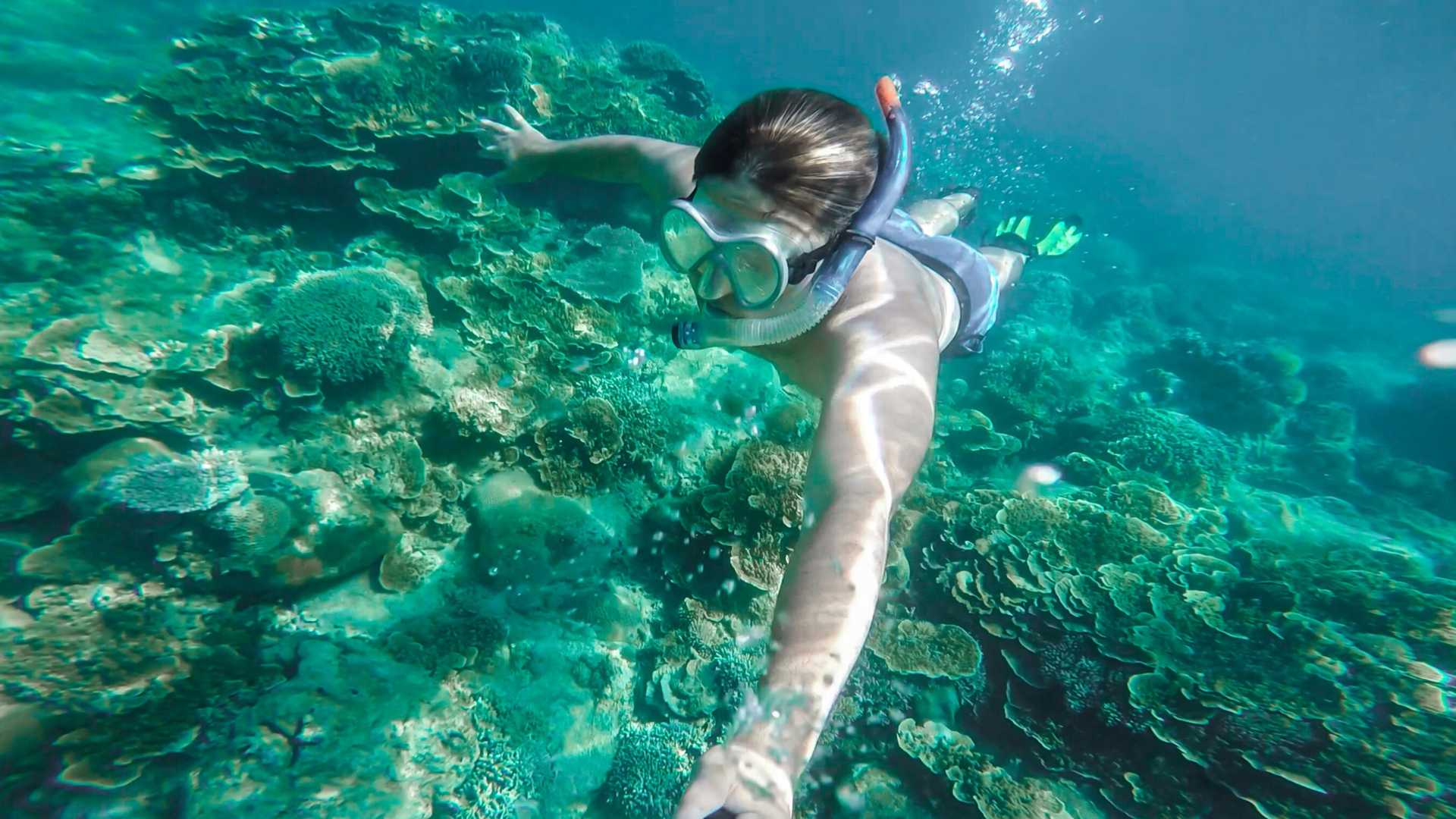 Cala Gonone: snorkeling in the Orosei Gulf - Photo 4