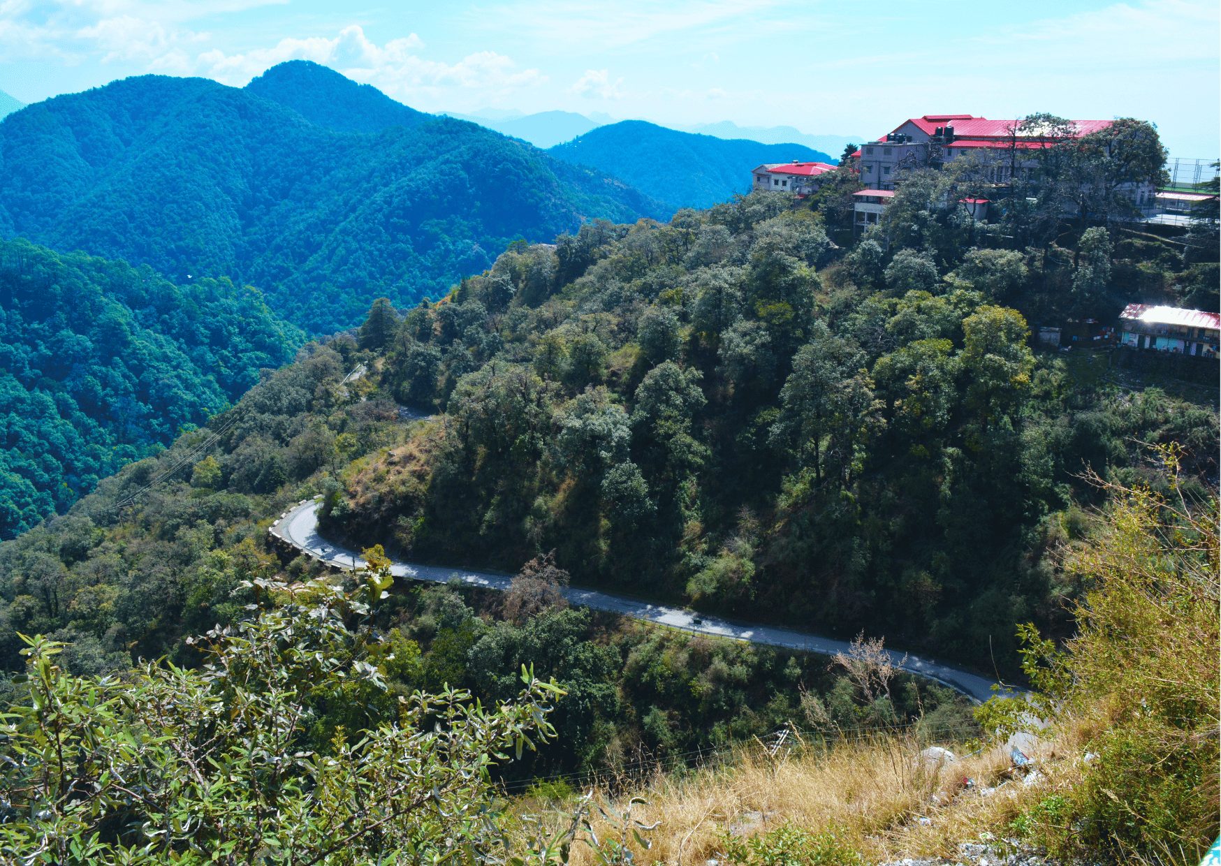 Nature Walk of Mussoorie (2 Hours Guided Walking Tour) - Photo 10