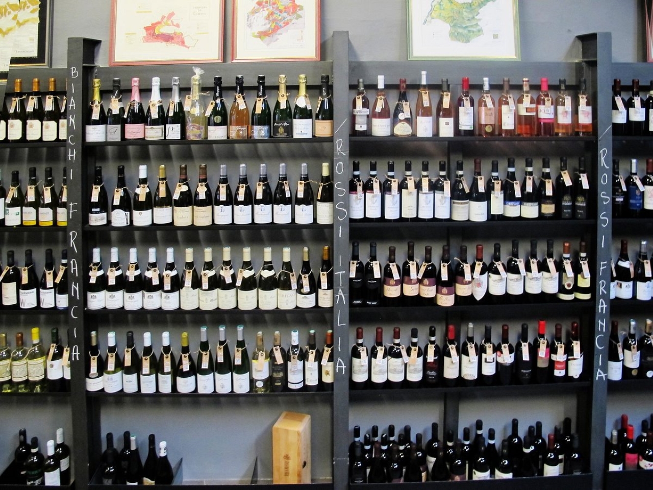 Rome Gourmet Experience: Elite Tasting at Magazzino Scipioni! - Photo 3