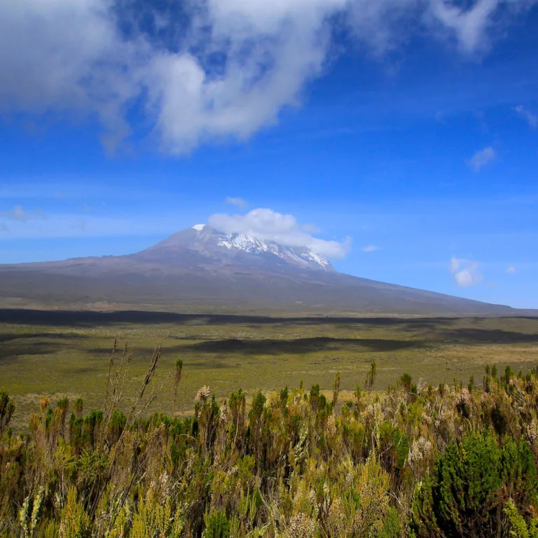 Barranco Camp to Karanga Camp 1