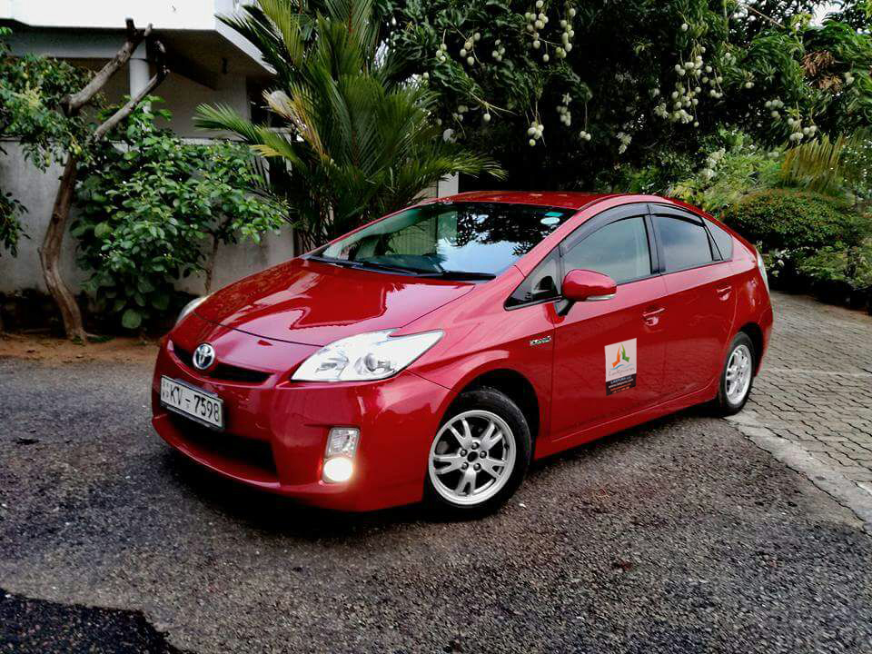 Hikkaduwa to Udawalawe City Private Transfer