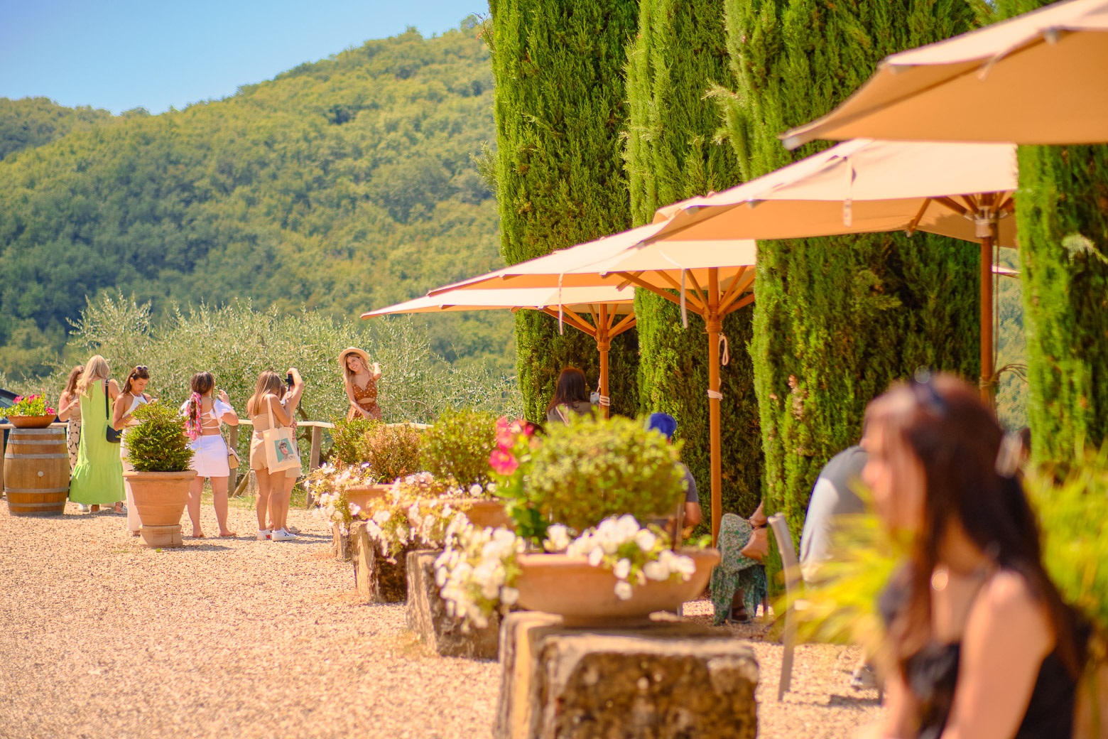 Chianti Vineyards Escape from Florence with Two Wine Tastings from Florence - Photo 39