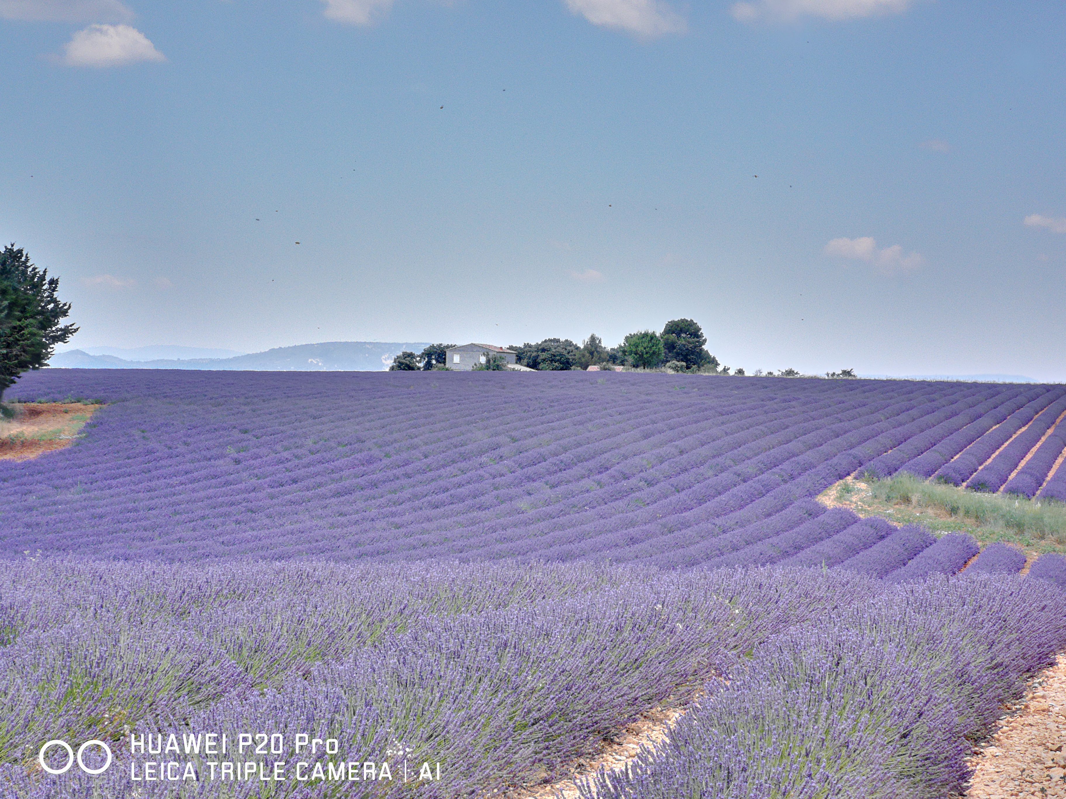 Marseille Shore Excursion: Private Day Trip to Manosque, Valensole, Moustiers Ste Marie and Lake Ste Croix - Photo 20