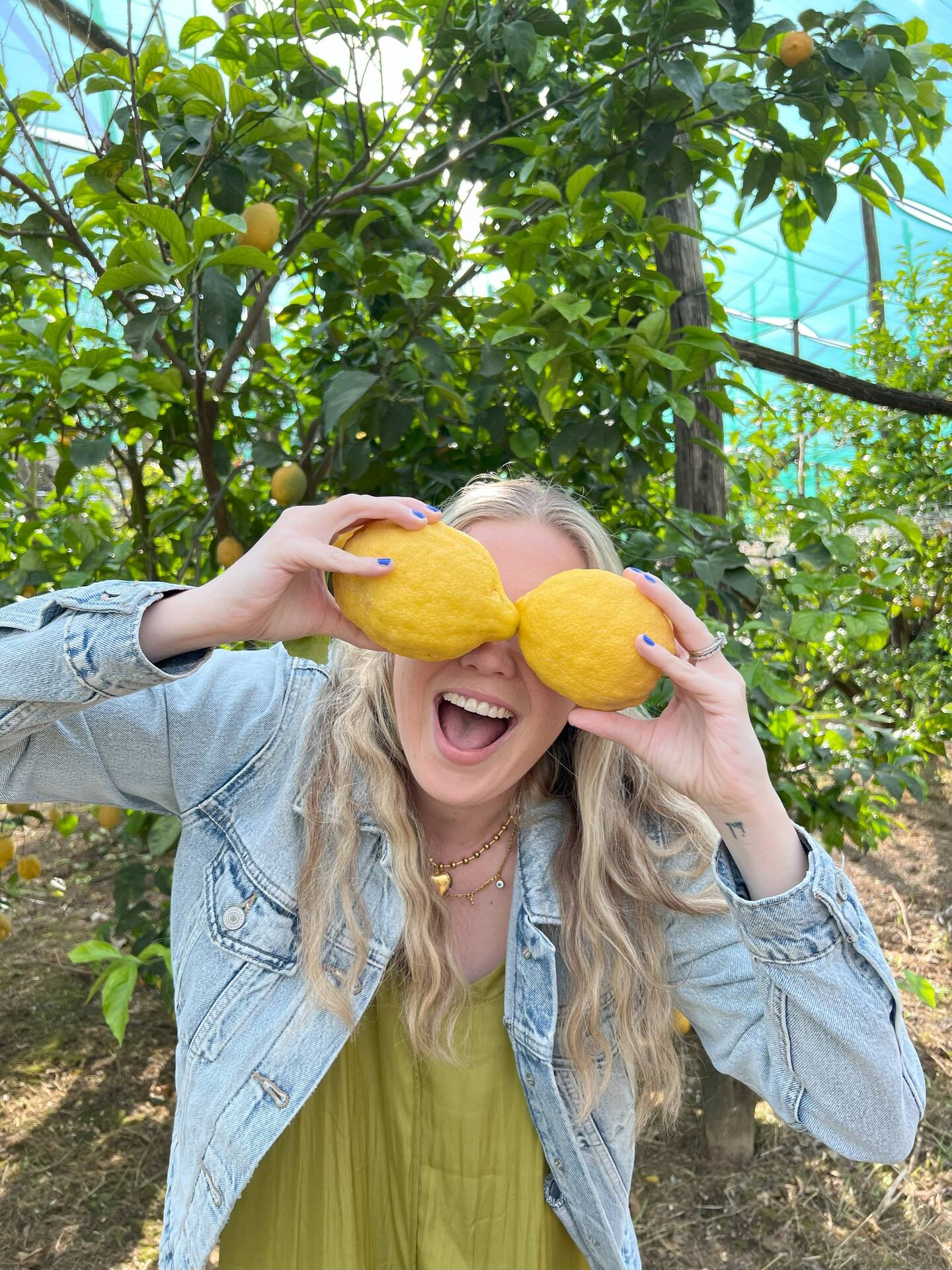Sorrento: Authentic Lemon Experience at a Local Farmhouse - Photo 7