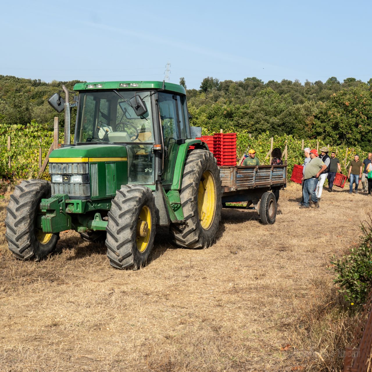 The Wines of Corbara: Exploring the Flavors of Umbria - Photo 2