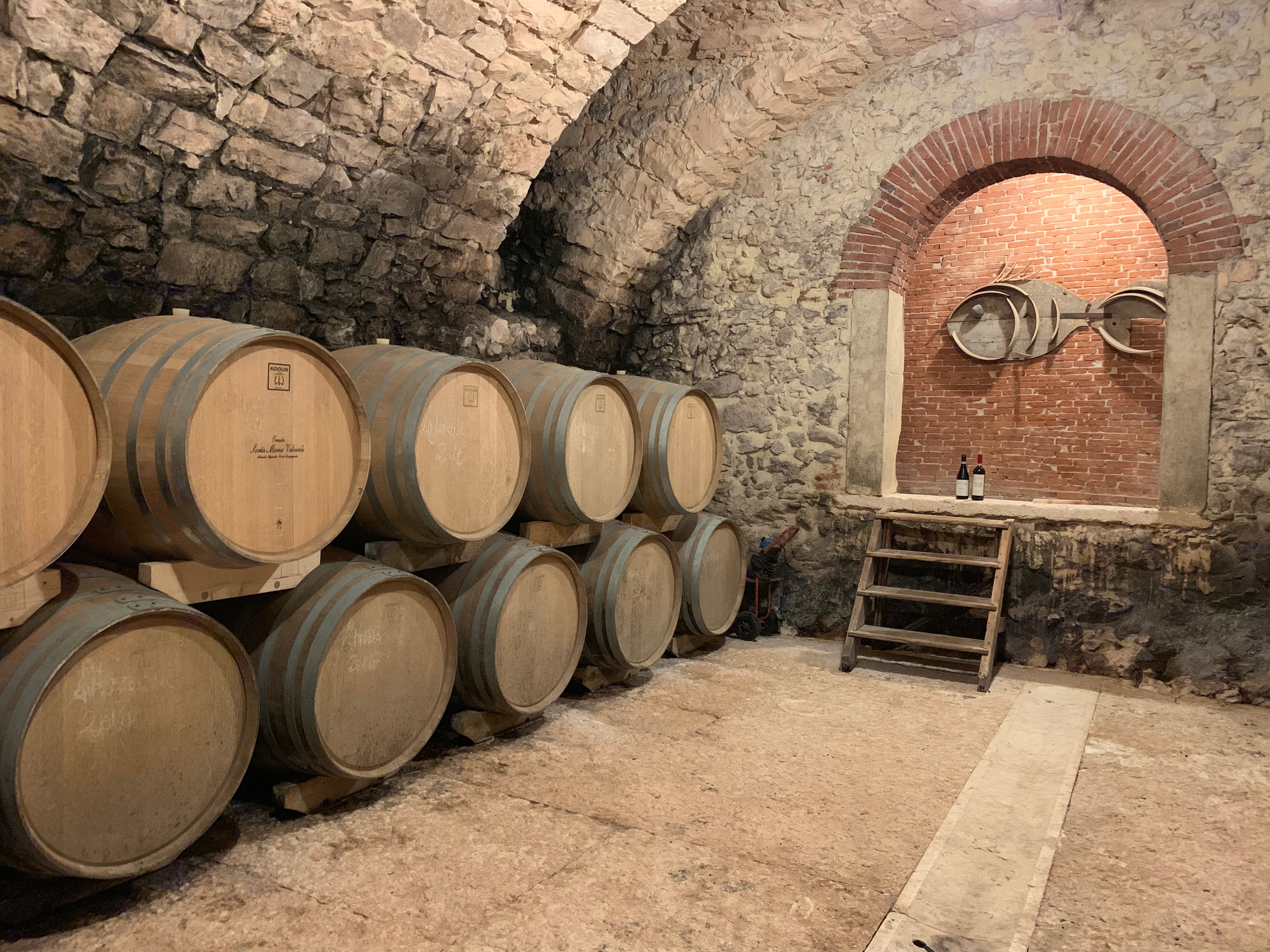 Discover DOP Olive Oil - Photo 5