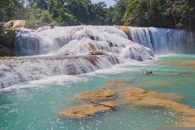 Tour por Palenque: Explore Ruinas, Sitios Arqueológicos y Naturaleza (10 Días) 4