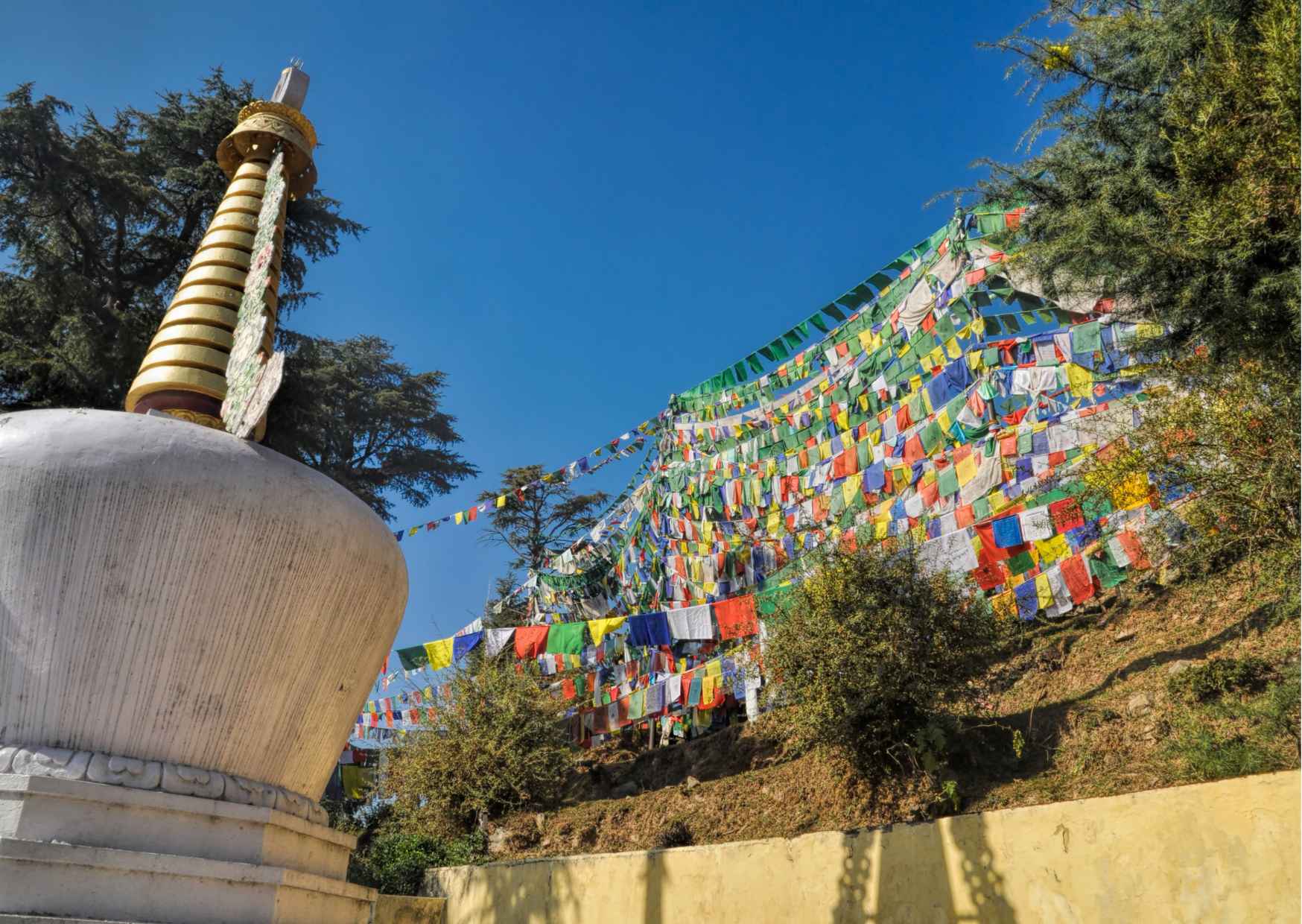 Best of Dharamshala (Guided Halfday Sightseeing Tour by Car) - Photo 8