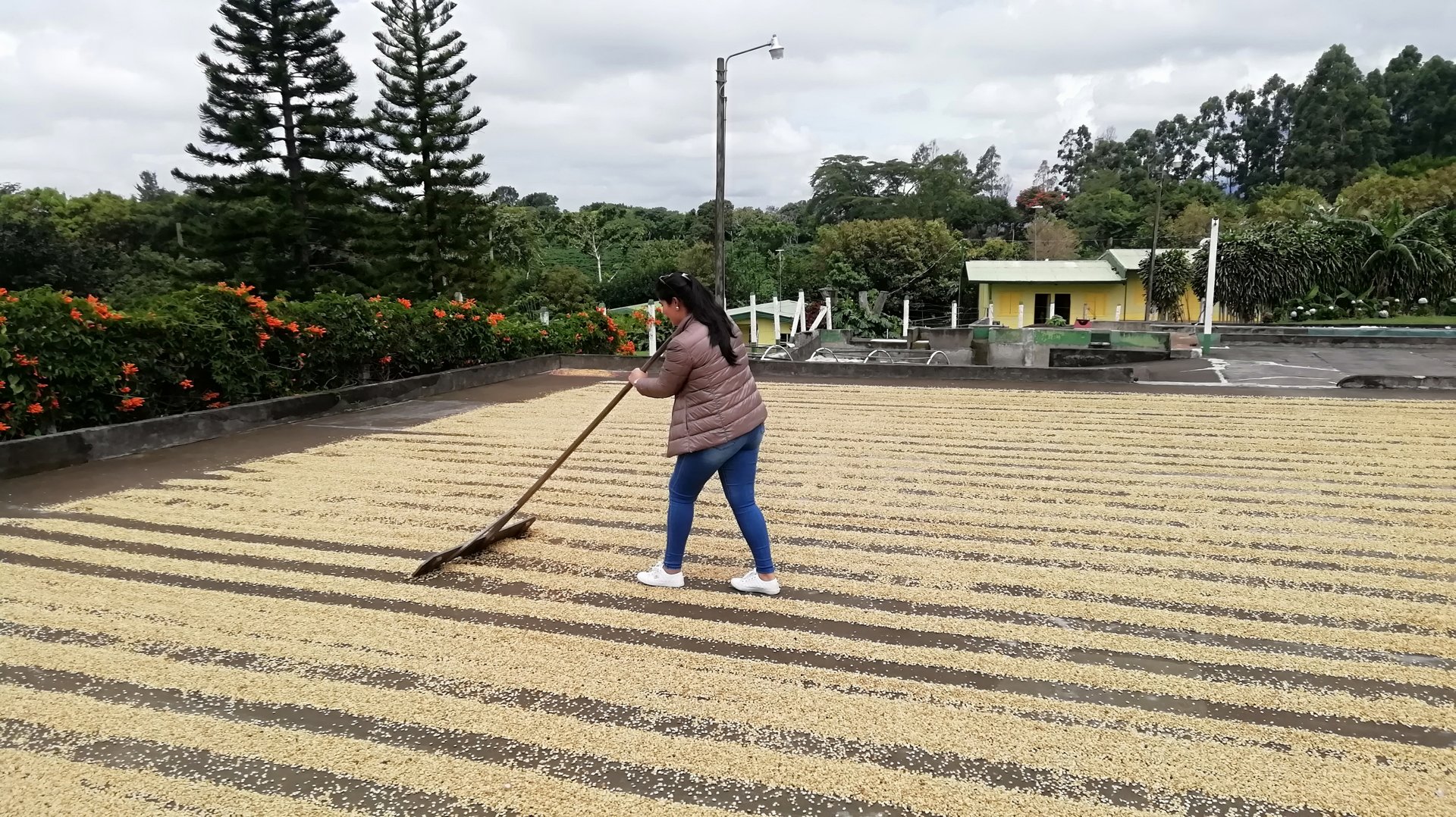 Pura Vida Escape 7-Day Costa Rica Private Tour: Arenal & Monteverde | Medium – photo 5