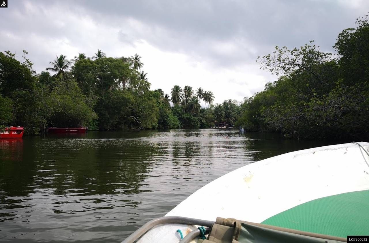 Birdwatching Boat Ride in Muthurajawela Marsh from Colombo
