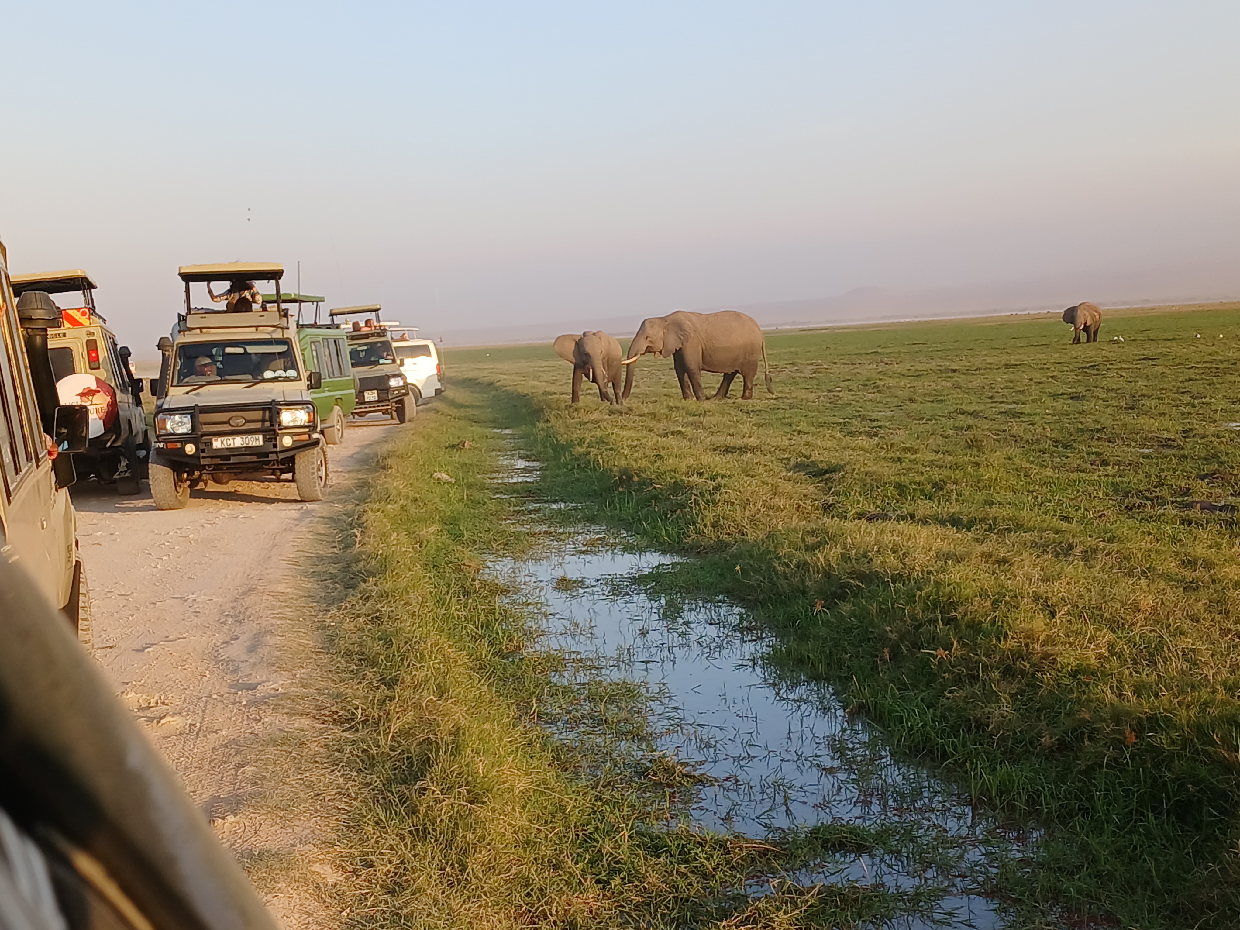 Amboseli Day Trip Tour
