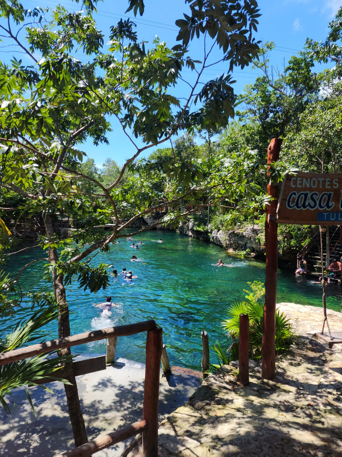 Casa Tortuga Silver – Experiencia en Cenotes — 10/13