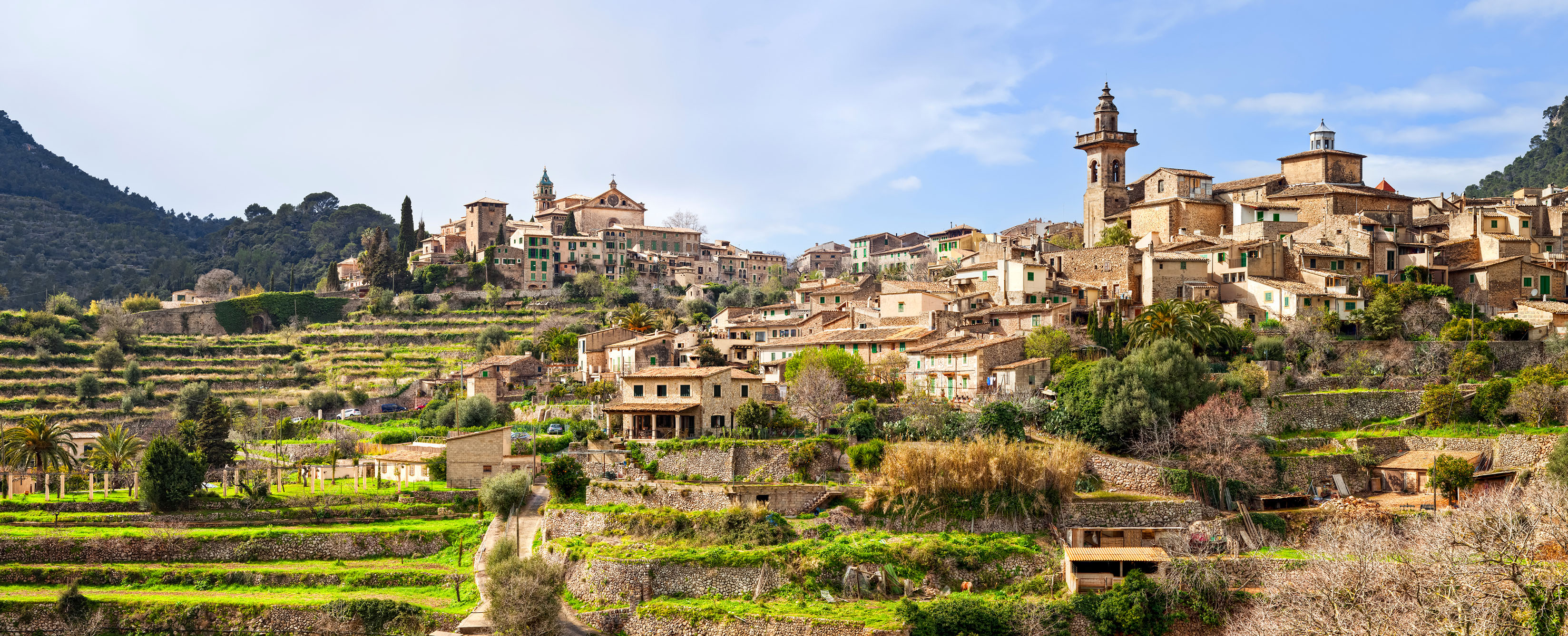 Valldemossa Tour from Palma