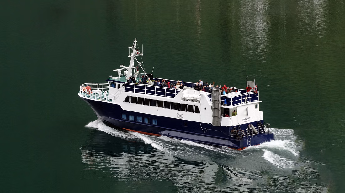 Whales & Waves: An Epic Marine Adventure Tour