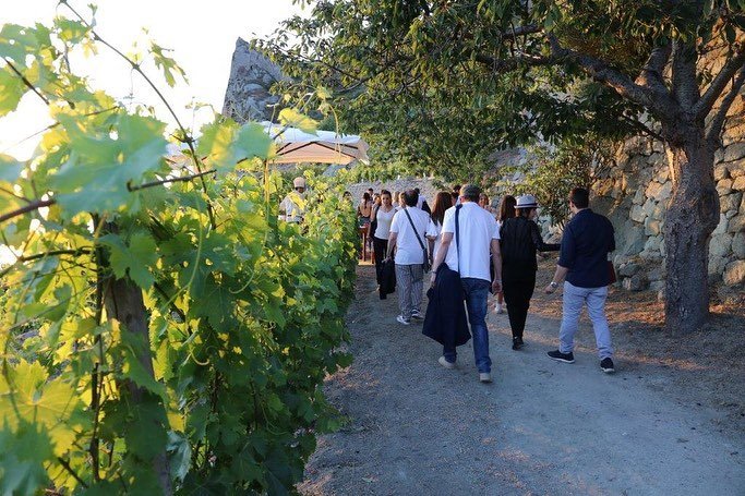 Ischia: 3 Hours Wine Tasting Experience, Vineyards & Pick-up - Photo 4