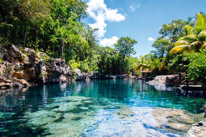 Snorkel VIP Express en 4 Cenotes Paradisíacos en Casa Tortuga 5