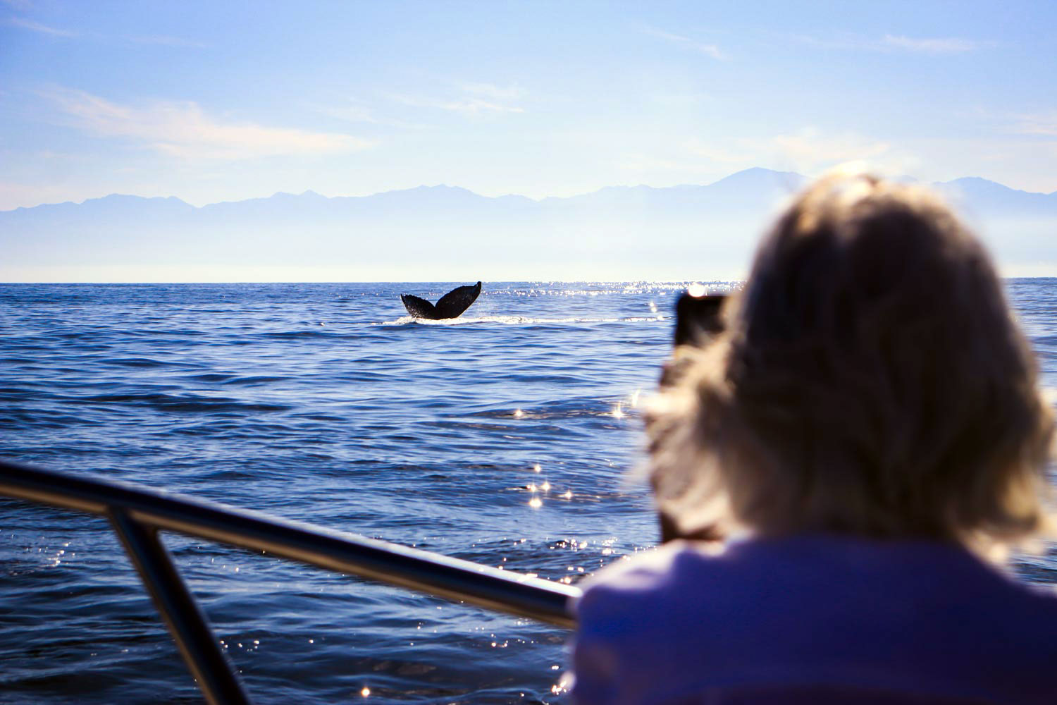 Chica Super Panga 30' Private Boat Tour Upto 10 People — 17/24