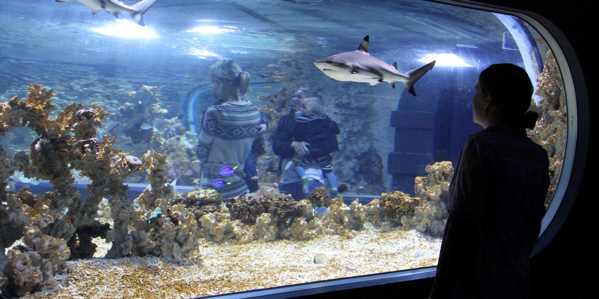 Bergen Aquarium, group tour