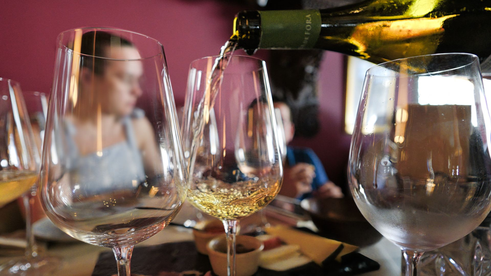Oporto Wine Tour & One-Hour Fado Experience - Photo 2