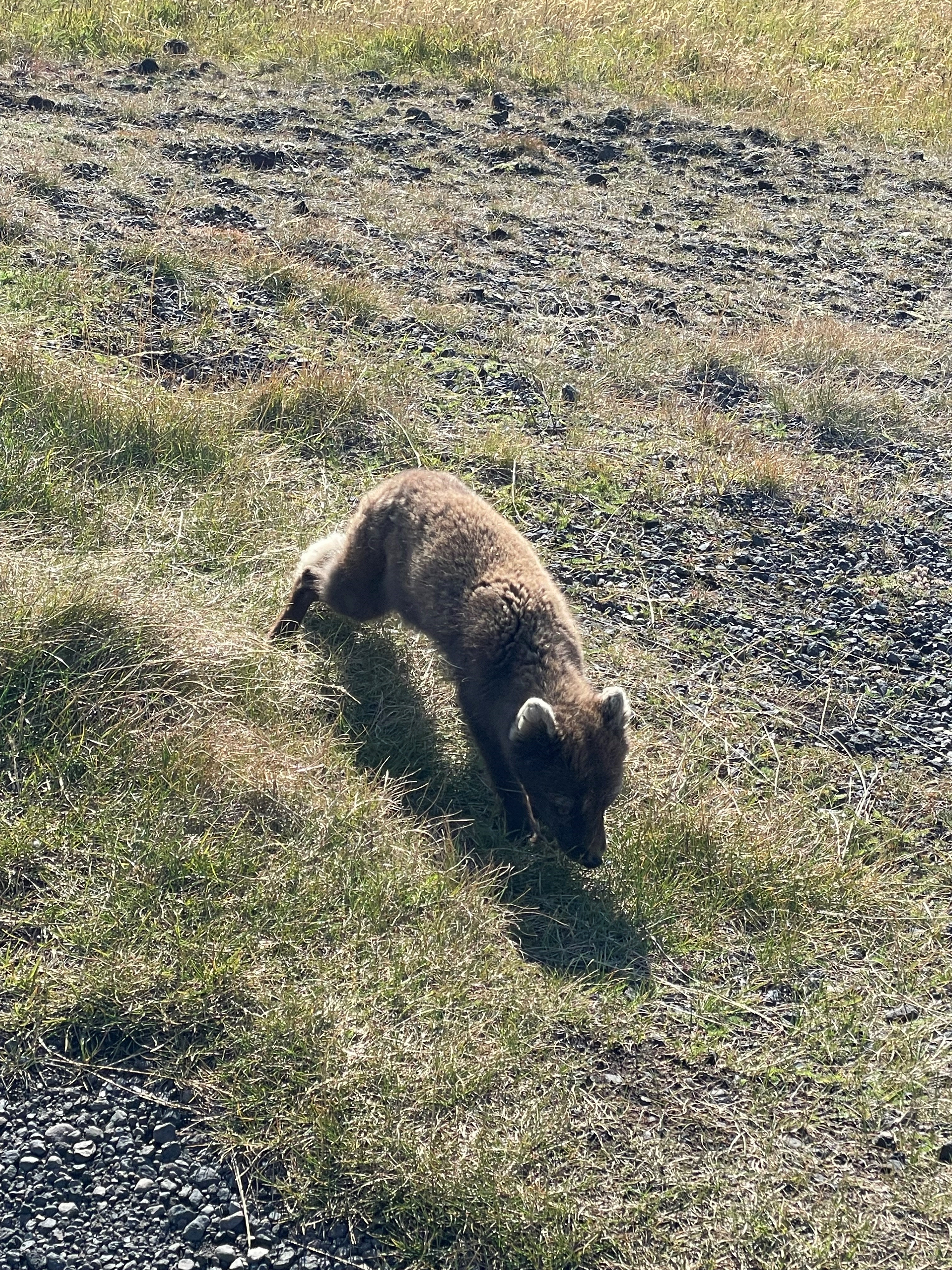 Private Snæfellsnes Peninsula - photo 11