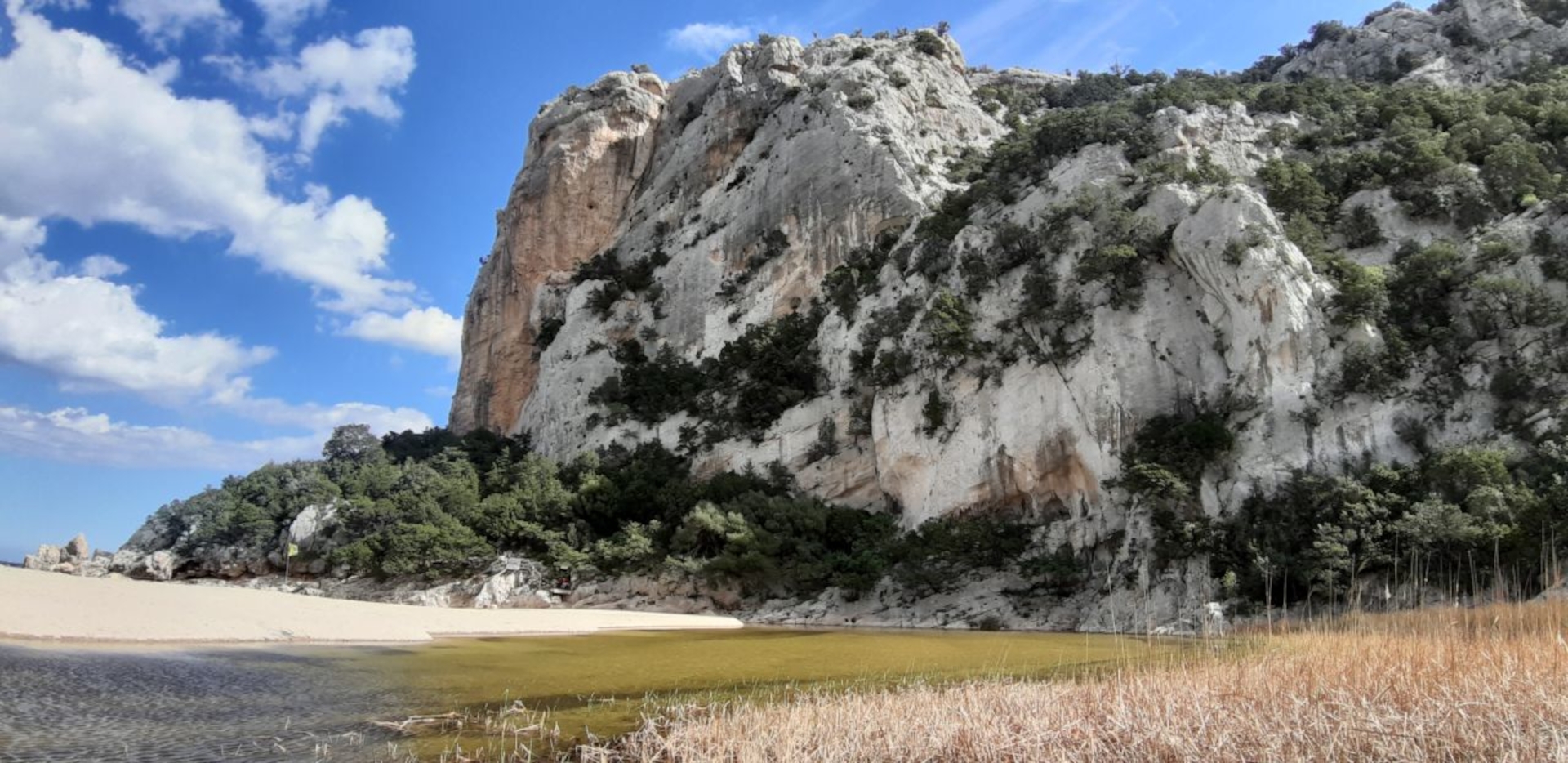 From Dorgali: trekking to Cala Luna - Photo 16