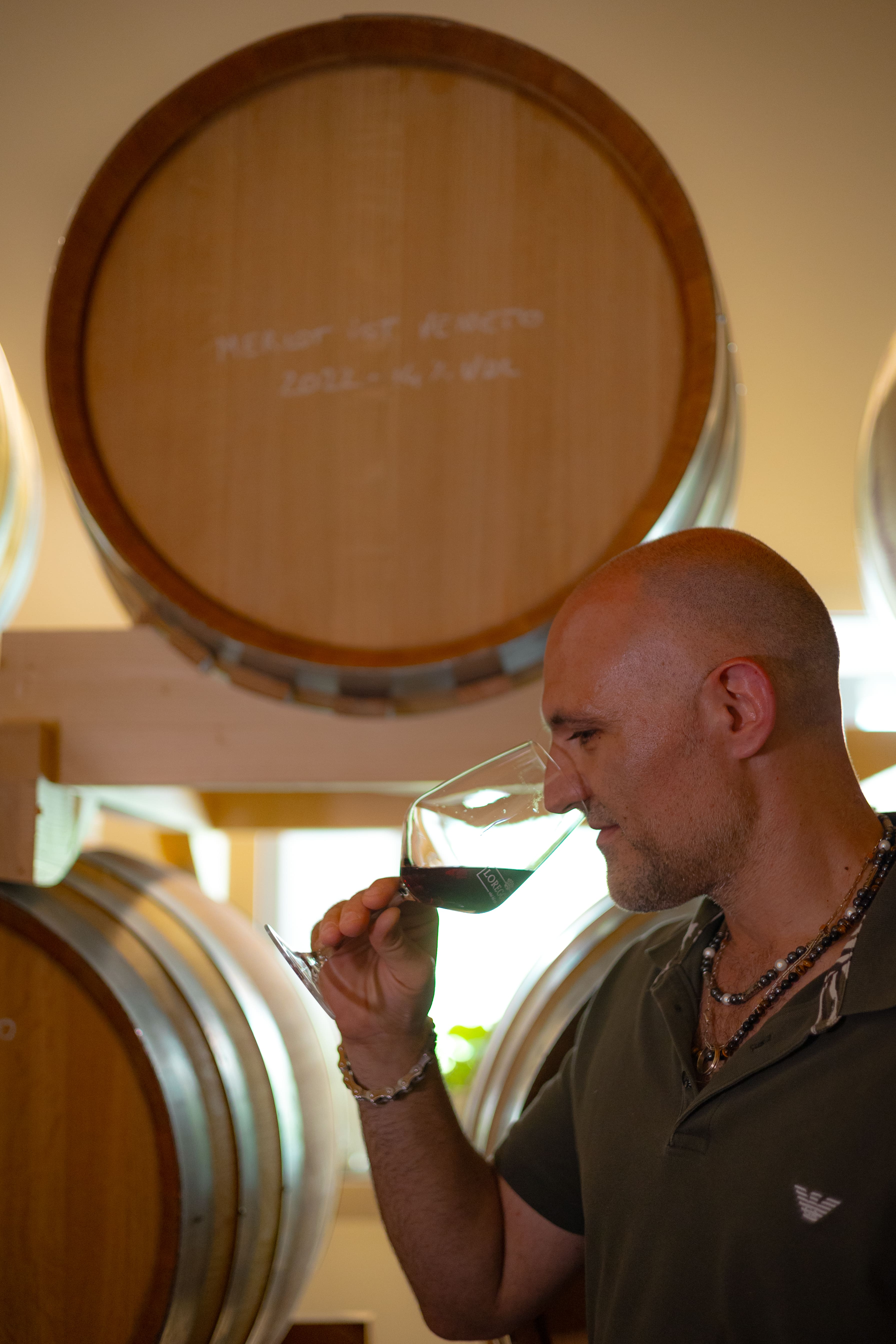 From Vence: Olive Oil & Wine in the Euganean Hills  - Photo 6