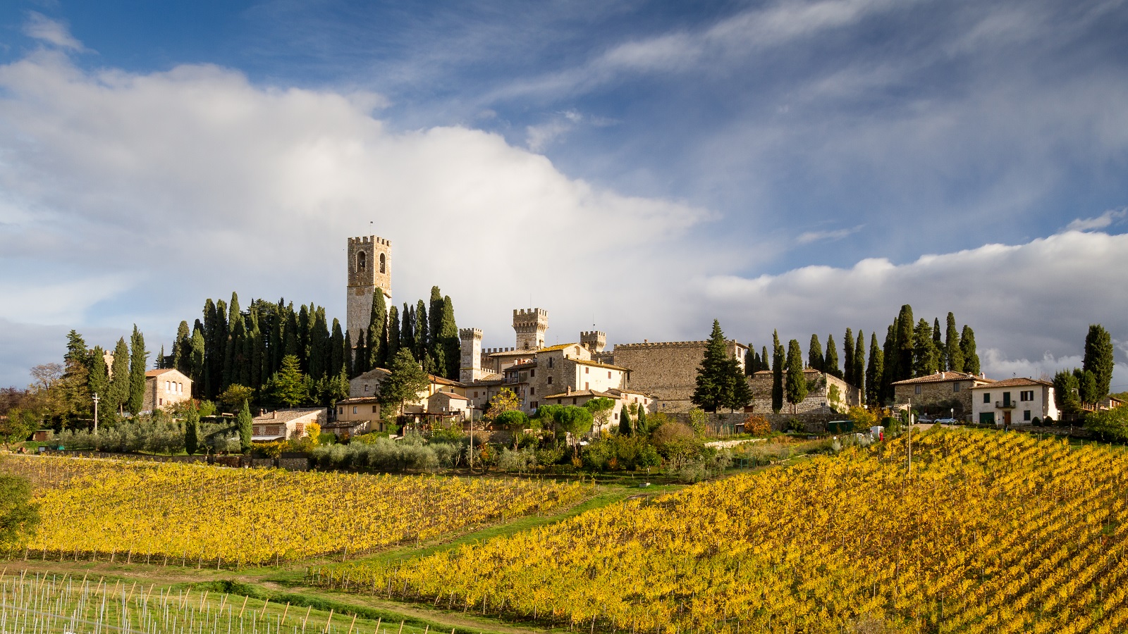 Chianti Wine tour and Badia a Passignano - Photo 12
