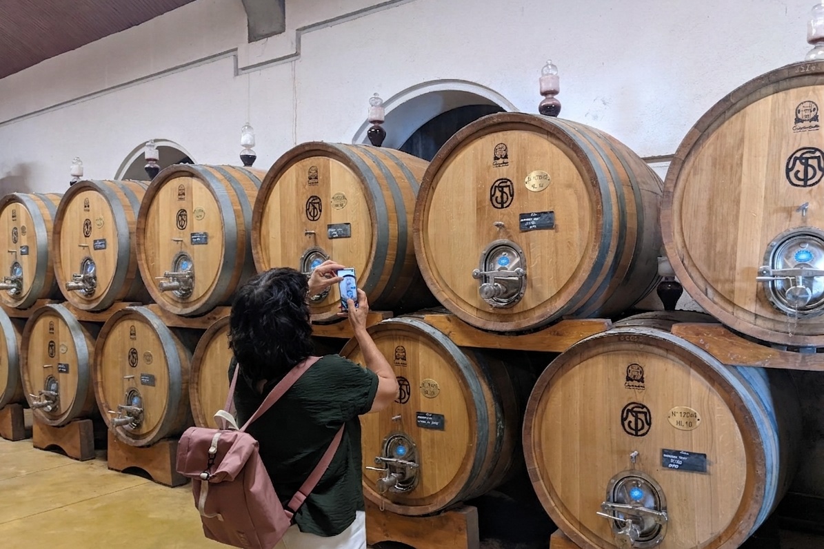 From Lake Garda: Full-Day Valpolicella Wine and Lunch Guided Trip From Lake Garda: Full-Day Valpolicella Wine and Lunch Guided Trip