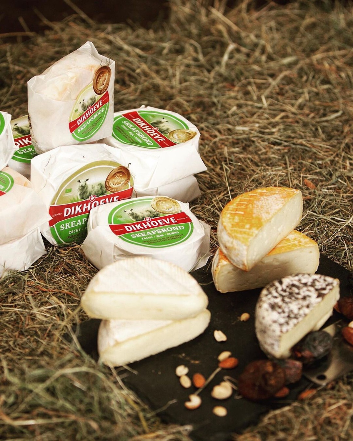 Dutch Countryside Adventure Bike Tour – Image 4 | WeShare