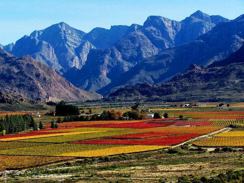 (Cape Town Tour) 3Days -Robben Island getaway & Table Mountain Car & wine taste  - Photo 13